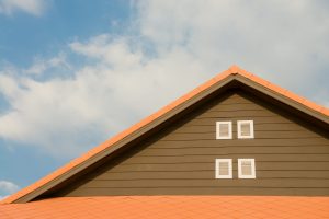 DIY Gutter Cleaning: Accessories and Devices